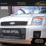 Защитная сетка переднего бампера Ford Fusion 2004-2012